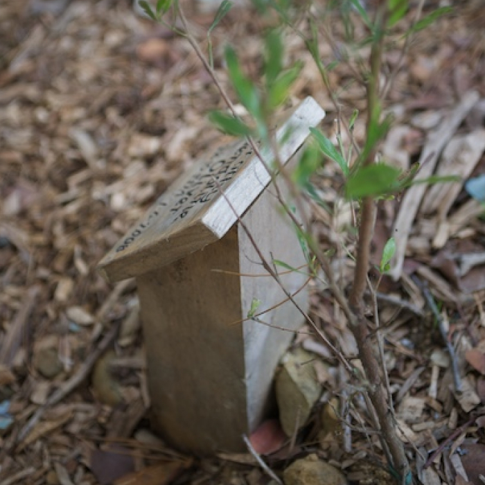 MoreBookPhotos