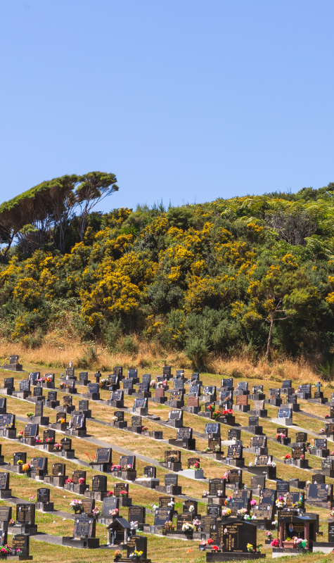 20180821_NZDF_C1033116_081-small