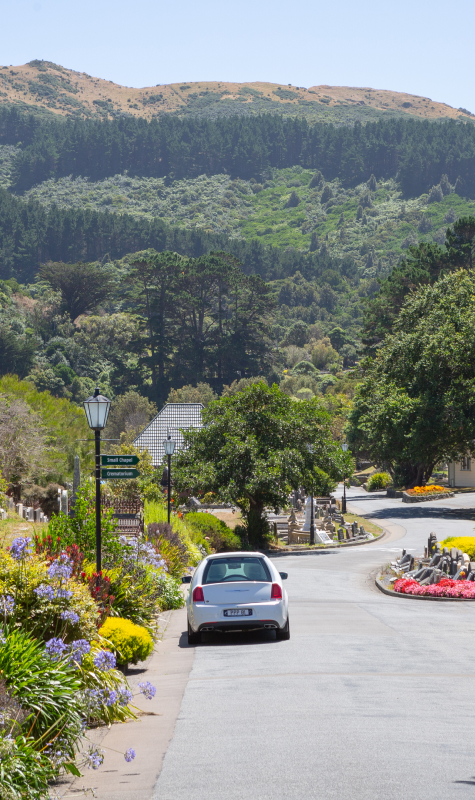 20180821_NZDF_C1033116_008-small