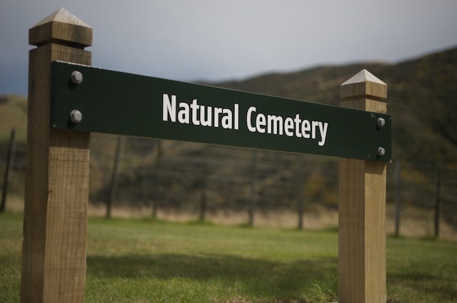 Natural Burial and Greener Choices in the Wellington Region